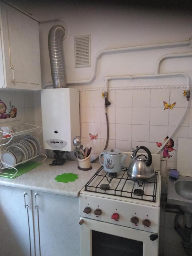 Вишня,Двокімнатна Квартира تريسكافيتس المظهر الخارجي الصورة
